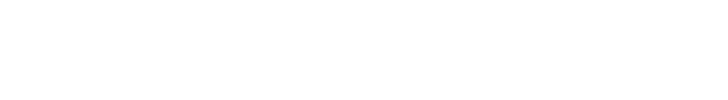 Pune Night Guide logo